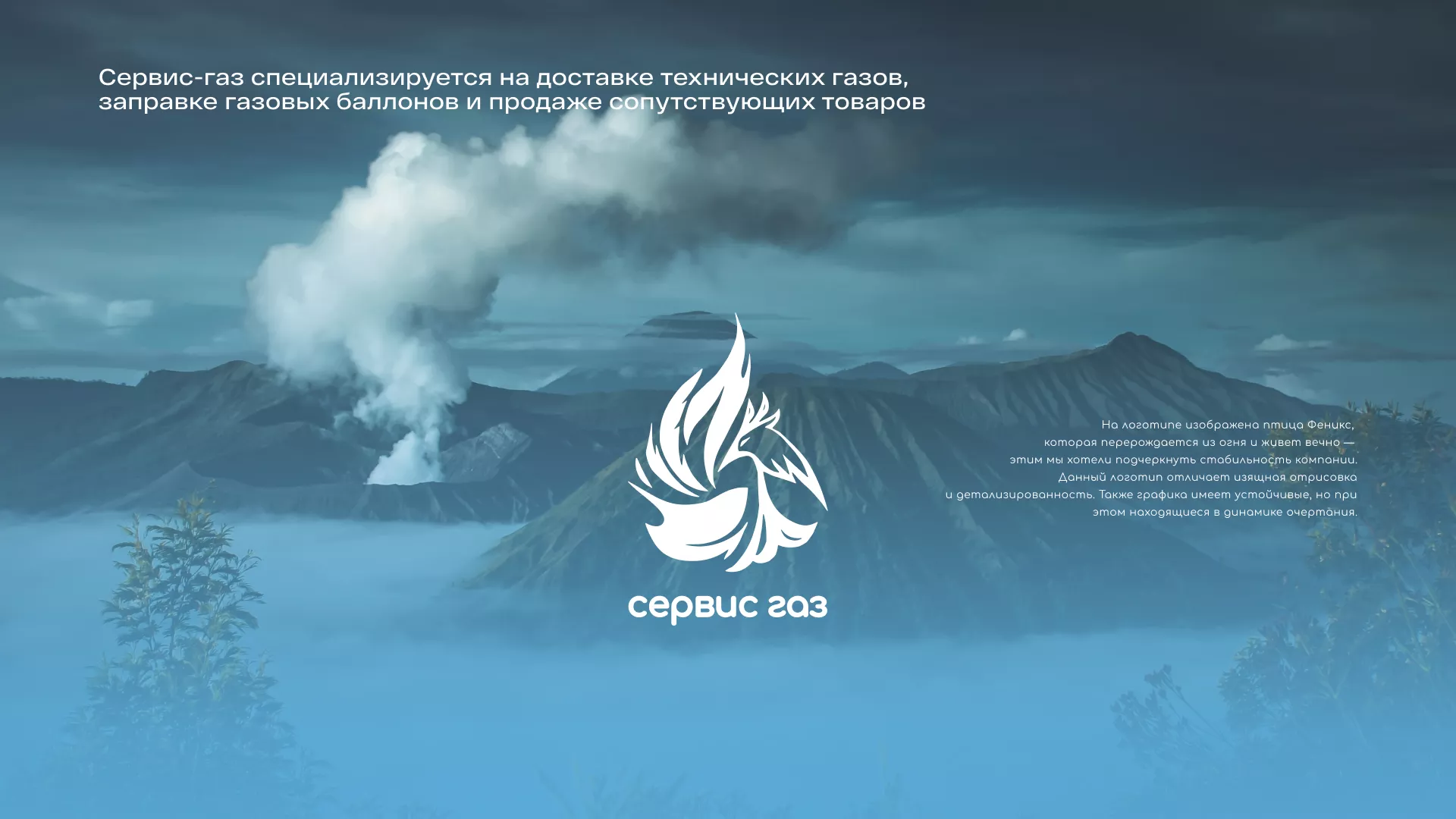 Создание сайта компании «Сервис газ» в Гатчине