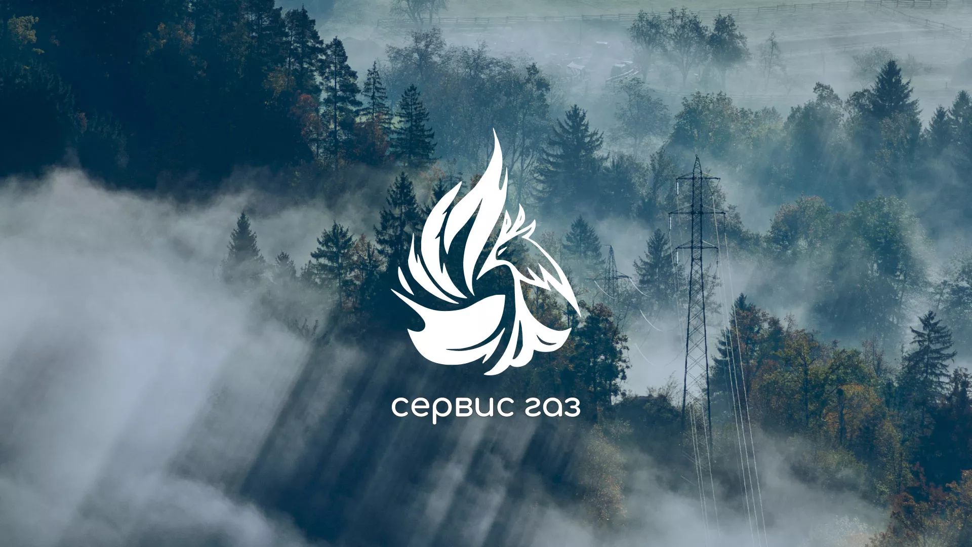 Создание сайта компании «Сервис газ» в Гатчине