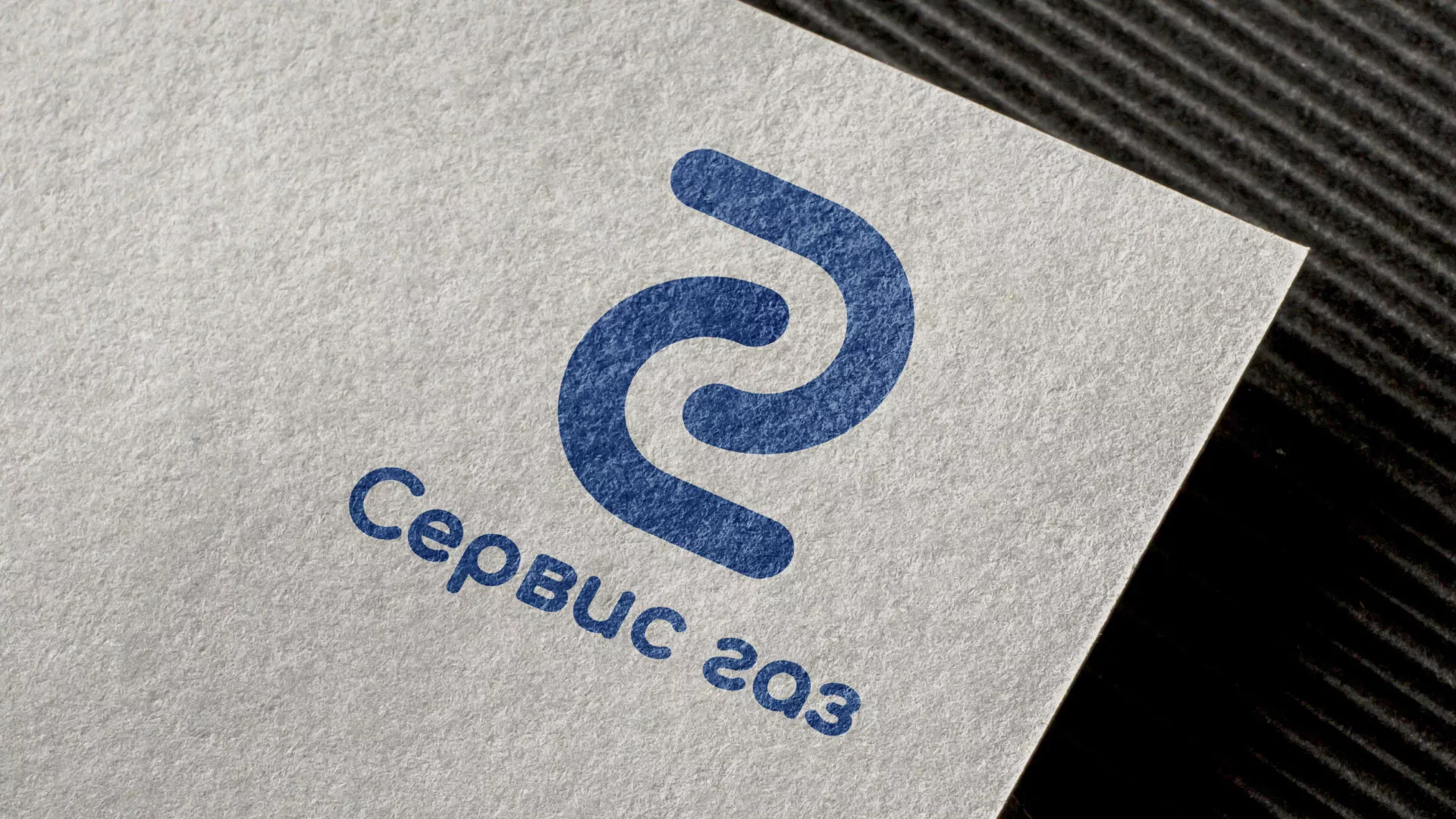 Разработка логотипа «Сервис газ» в Гатчине