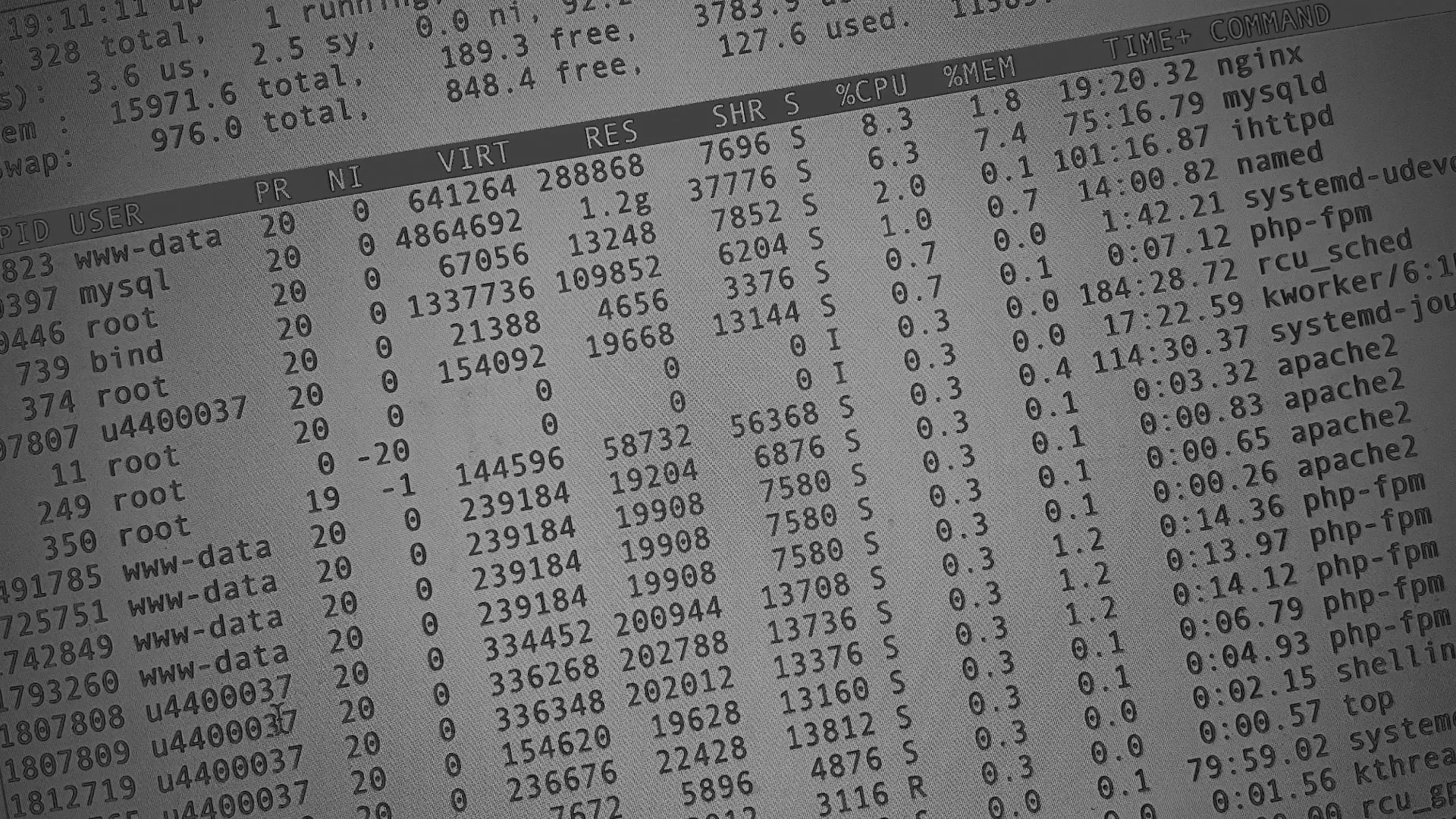 Настройка сервера в Гатчине Настройка сервера в Гатчине