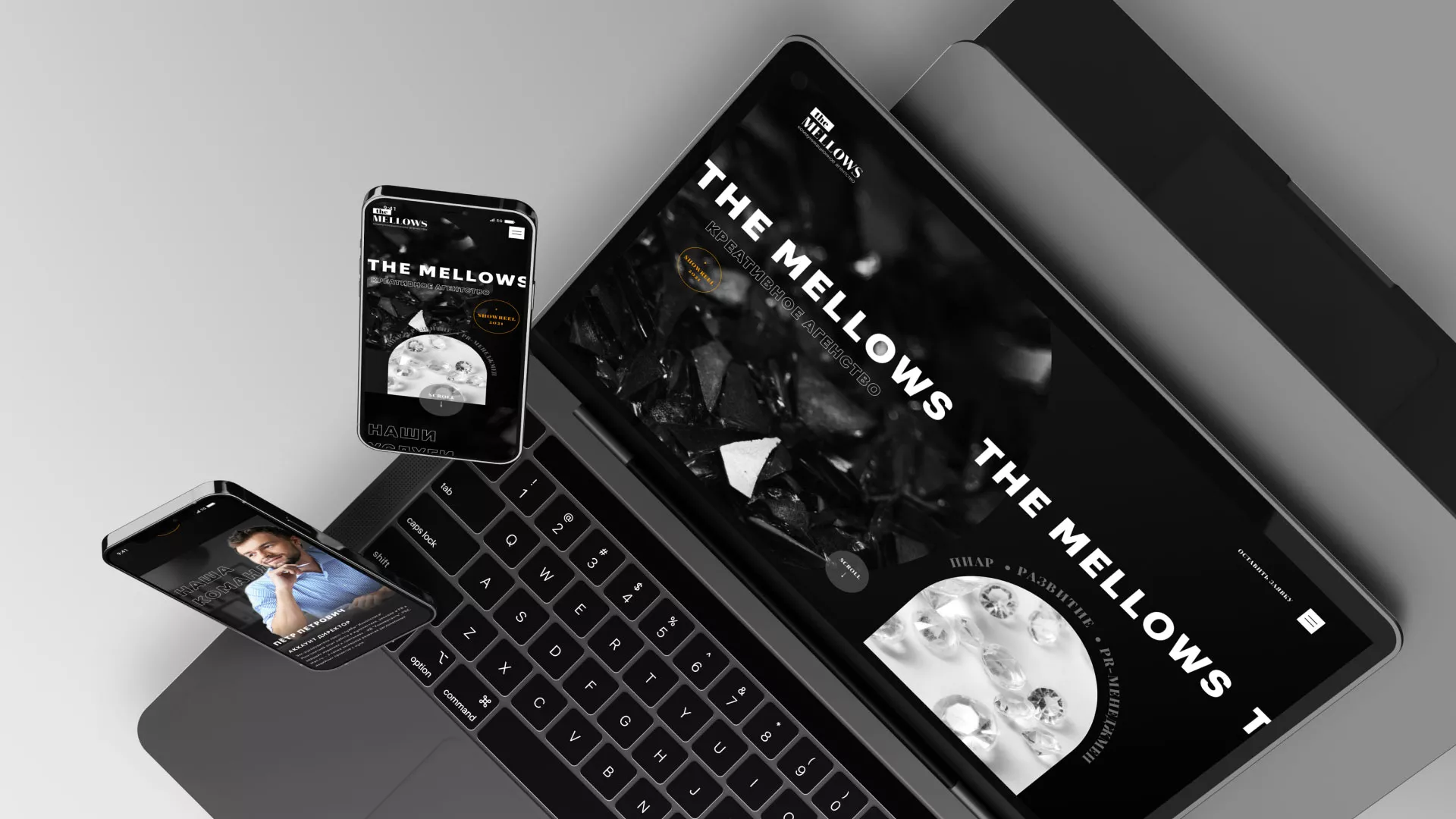 Разработка сайта креативного агентства «The Mellows» в Гатчине
