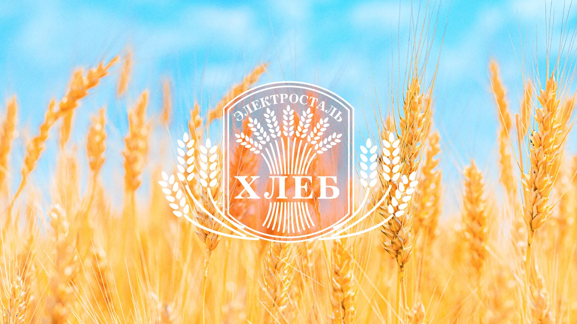 Создание сайта для хлебзавода в Гатчине